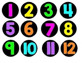 Black and Neon Numbered Circle Labels