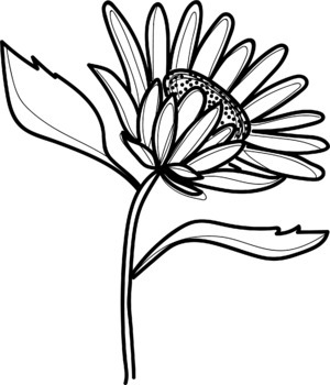 flower clipart outline