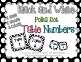 Black and White Polka Dots -Table Numbers