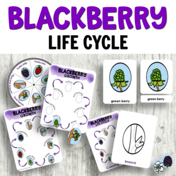 Preview of Blackberry Life Cycle Activities