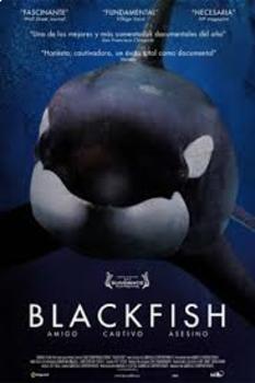 Preview of Blackfish Documentary Viewing Guide Netflix