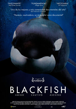 Preview of Blackfish (FILM Qs)