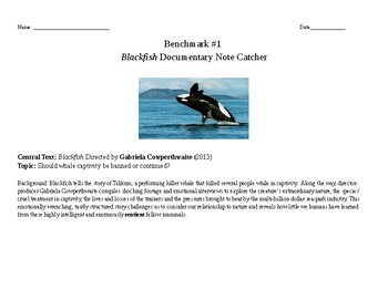 analytical essay blackfish