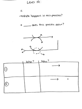 Preview of Blank Anaerobic Cellular Respiration PowerNotes