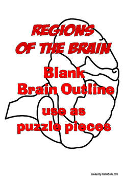 Preview of Blank Brain Outline and The Regions of the Brain