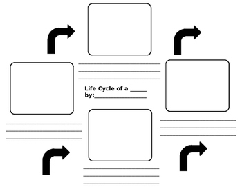 Blank Life Cycle by KatherineThomson EducationConsultant TPT