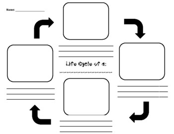 Blank Life Cycle Template by Miss Barnes #39 s Store TPT