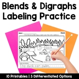 Blends and Digraphs Labeling Practice Pages | Phonics