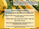 Blessing for the Lulav and Etrog Poster Printable
