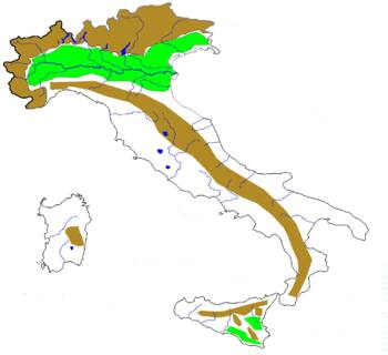 Preview of Blind map of italy with rivers and relief units