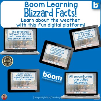 Preview of Blizzards Facts Boom Learning Digital Task Cards