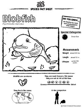 Blob fish slide show