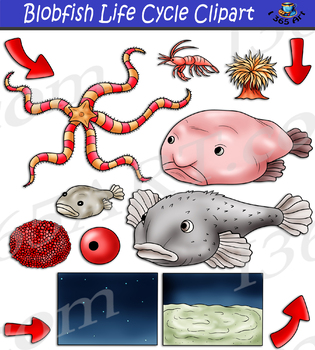 Blob fish slide show