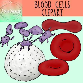 Preview of Blood Cells Clip Art - Anatomy Science Clipart - Color and Blackline 10 pc set.