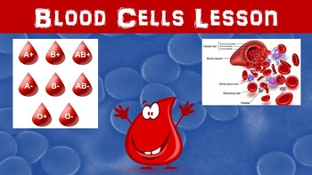 Preview of Blood Cells No Prep Lesson w/ Power Point, Worksheet and Cross-Checking Activity