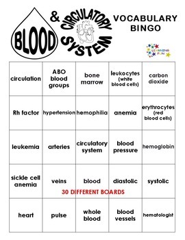 Blood Circulatory System Vocabulary Bingo By Learning Fun Tpt