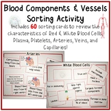 Blood Components and Vessels Sorting Activity