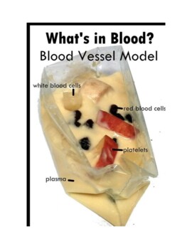 Preview of St. Valentine's lab Blood Composition Model STEM