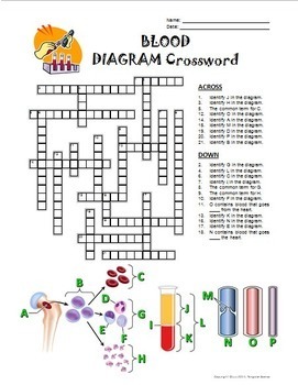 Blood Crossword with Diagram Printable Distance Learning Options
