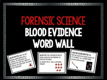 Preview of Blood Evidence Word Wall