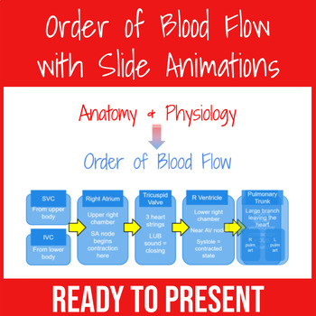 Preview of Blood Flow Structure Order Slides