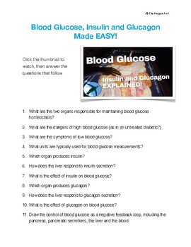 Preview of Blood Glucose, Insulin and Glucagon Made EASY - Video Worksheet