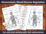 Blood Glucose Regulation Cut and Stick Activity for A-level