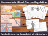 Blood Glucose Regulation (Homeostasis) PowerPoint for A-Le