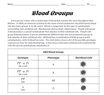 Genetics: Blood Groups Punnett Square Practice by Spyglass Biology