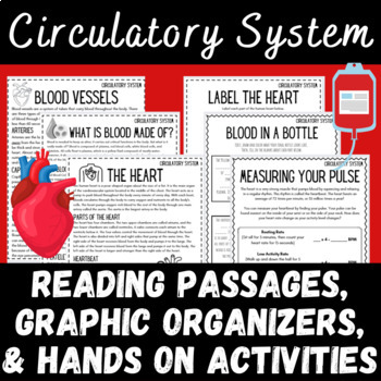 Preview of Blood Human Heart and Circulatory System Informational Text Graphic Organizers