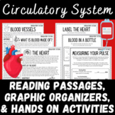 Blood Human Heart and Circulatory System Informational Tex