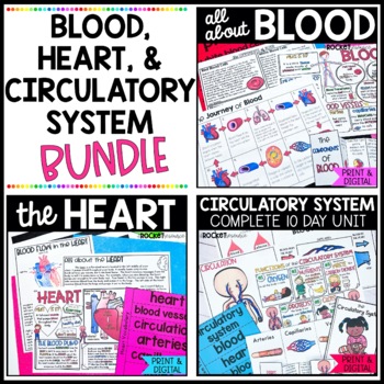 Preview of Blood, Human Heart, & the Circulatory System Bundle | The Human Body