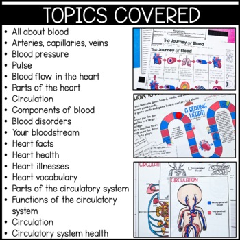 Circulatory system, Functions, Parts, & Facts