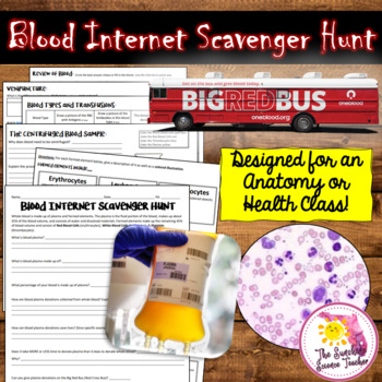 Preview of Blood Internet Scavenger Hunt | NO PREP