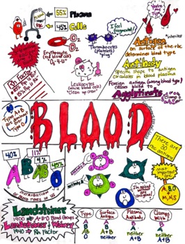 Preview of Blood Poster - Example for Anatomy or Science