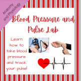 Blood Pressure and Pulse Lab: Anatomy and Physiology (Card