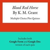 Blood Red Horse Plot Quizzes