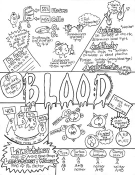 Blood & Blood Typing Sketch Notes Doodle Notes W/Teacher's Guide ...