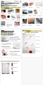 Preview of Blood Spatter Analysis II - Worksheet/Activity/Lab/Homework