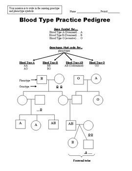 Preview of Blood Type Pedigree