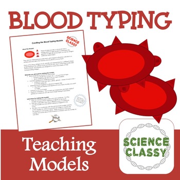 Preview of Blood Type Teaching Models