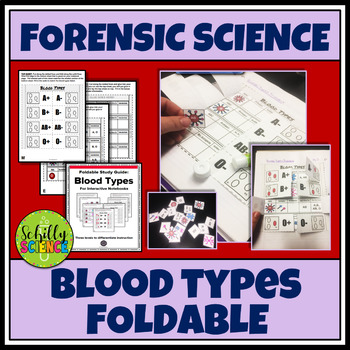 Preview of Blood Types Foldable