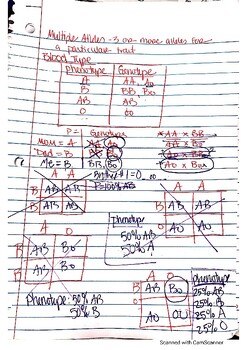 Preview of Blood Types (Multiple Alleles) Notes for Video on YouTube