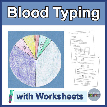 Preview of Blood Typing Pie Chart Activity Worksheets, Circulatory System