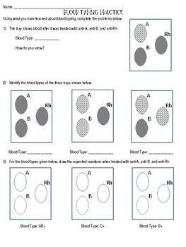 Blood Typing Practice Worksheet by Life in Prism TPT
