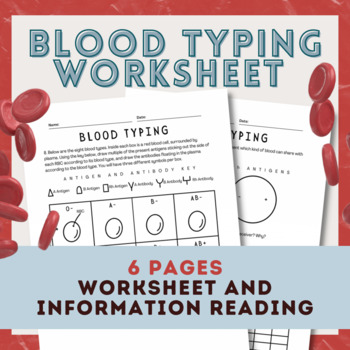 Preview of Blood Typing Worksheet