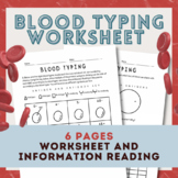 Blood Typing Worksheet