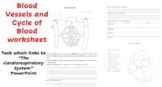 Blood Vessel & Cycle of Blood Worksheet - APART of Cardior