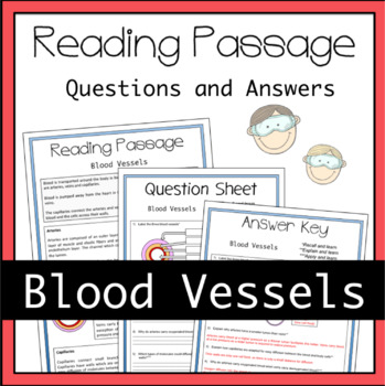 Preview of Blood Vessels (Veins, Arteries and Capillaries)Worksheet Activity