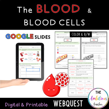 Preview of Blood WebQuest | Blood Basics & Blood Cells Activity, Worksheets, Assessment